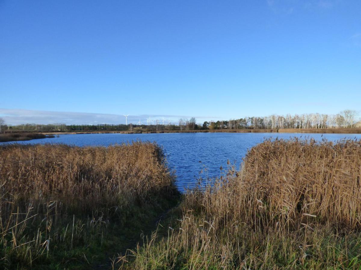 Uckermark "Ferienwohnung Sommerfugl " Passow  Экстерьер фото