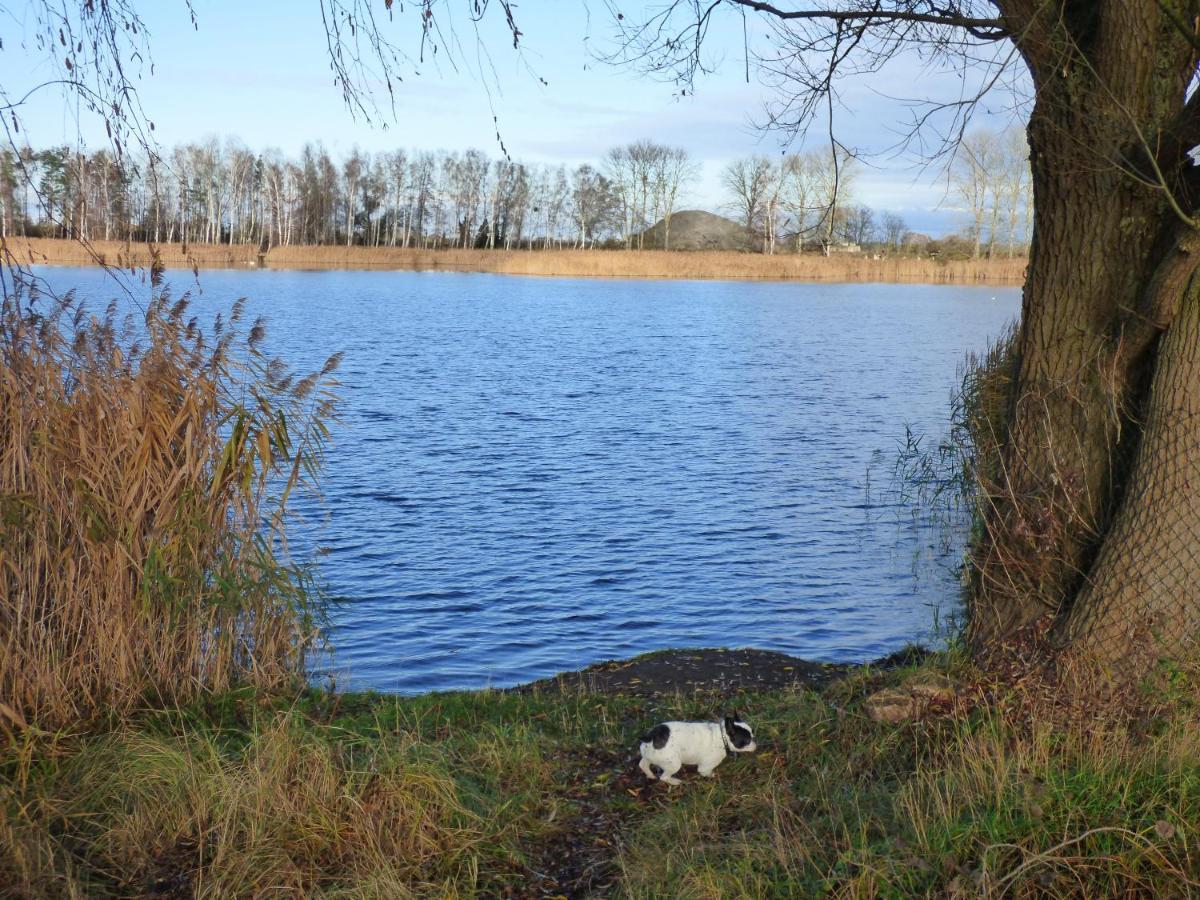 Uckermark "Ferienwohnung Sommerfugl " Passow  Экстерьер фото