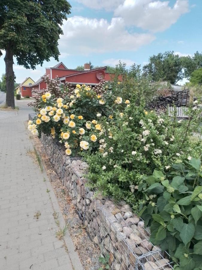 Uckermark "Ferienwohnung Sommerfugl " Passow  Экстерьер фото